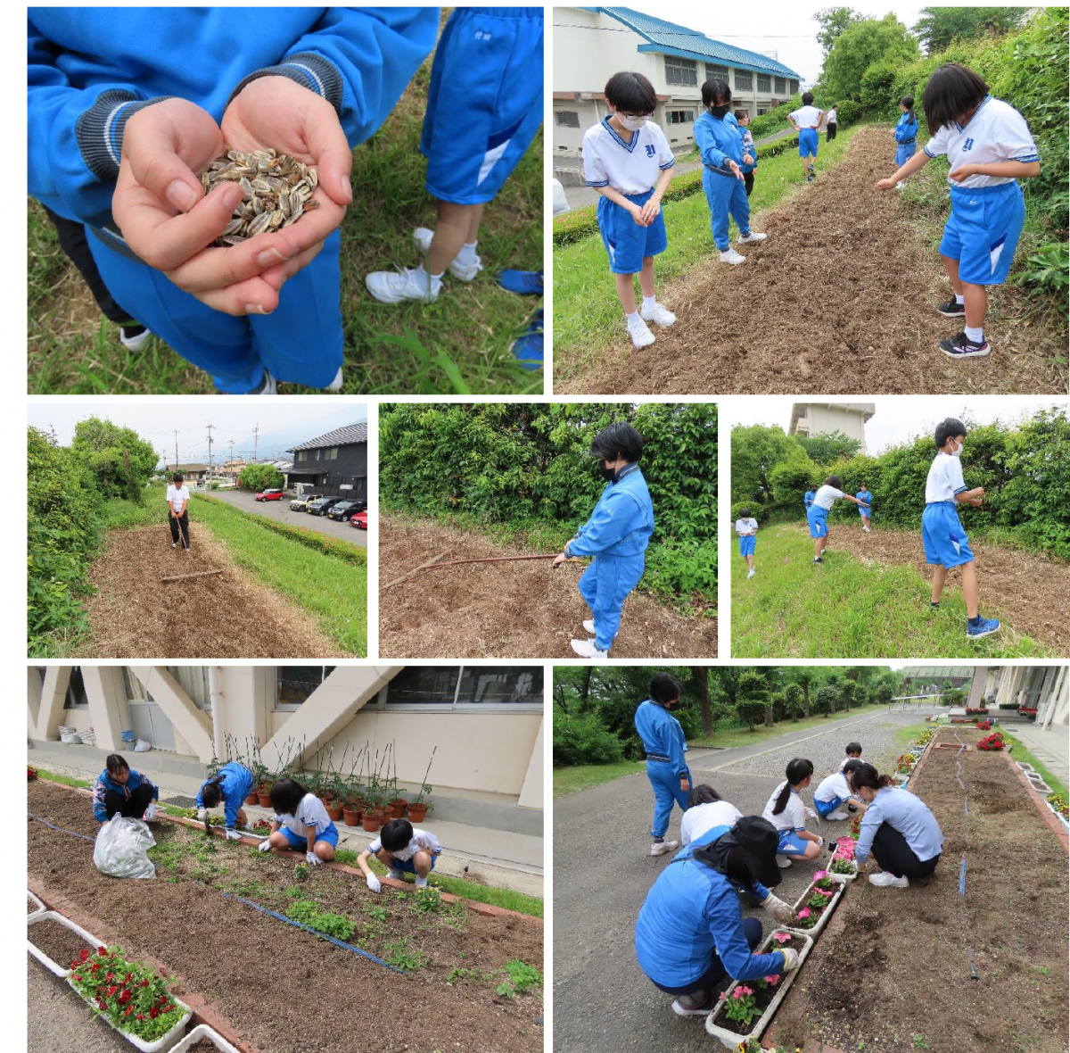 花植え（特支）