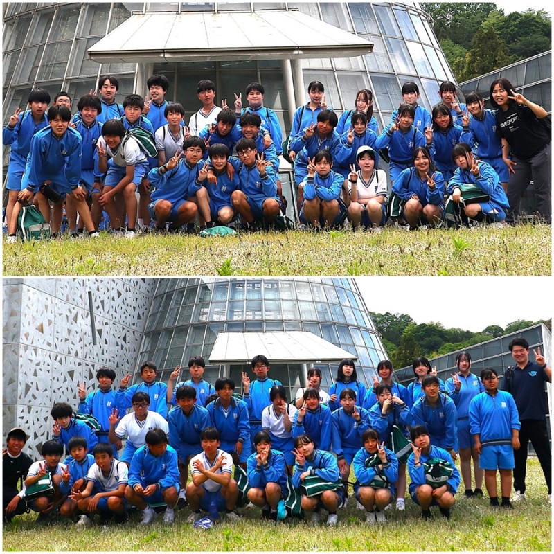12組